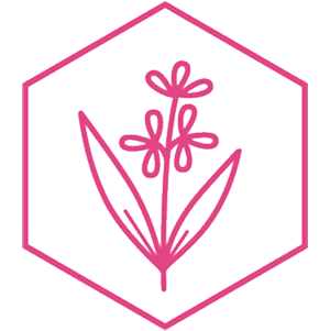 Plant extract illustration